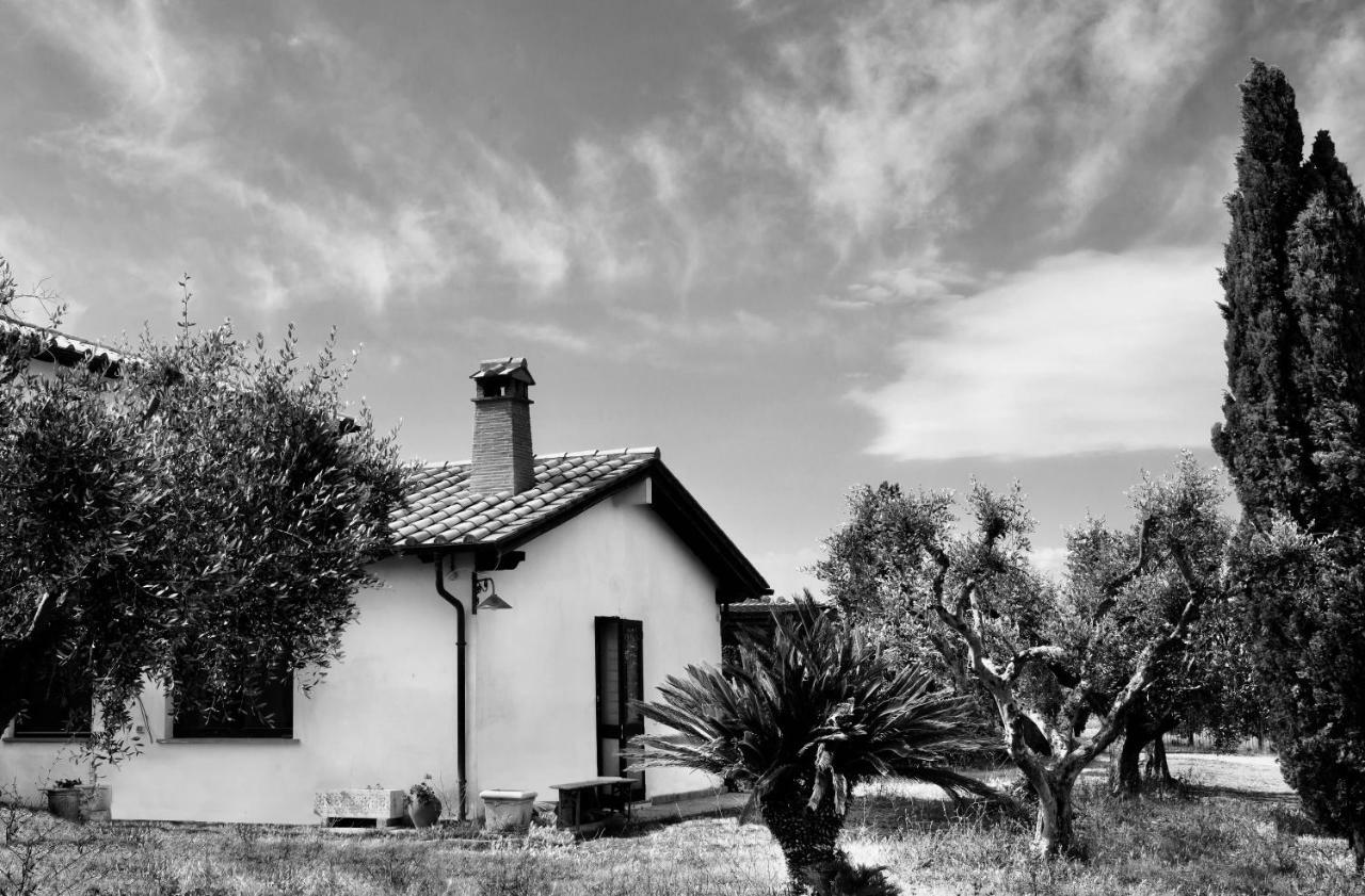 Orti Di Capalbio Villa Luaran gambar